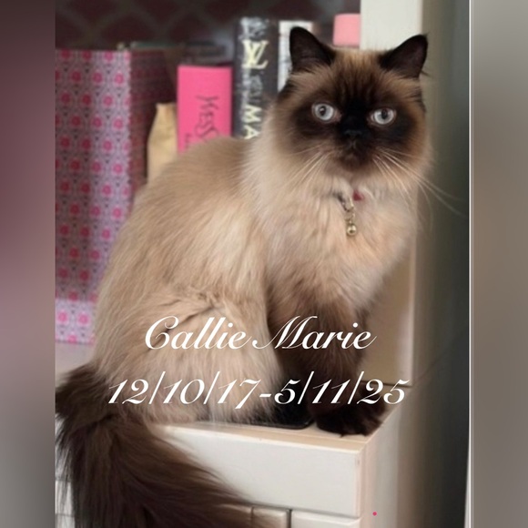 💝🛍️✨💕✨I’m Live Now ✨💕✨🛍️💝 - Picture 3 of 16